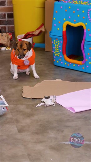 Sock Turned into Toy 🧦 Cute Mouse DIY 🐭