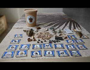 4.6K views · 49 reactions | Discover the ultimate eco-friendly fossil...