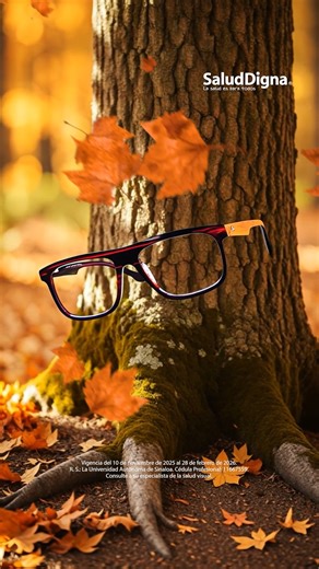 Encuentra el armazón que se adapte a ti. 👓 🍁 Conoce la colección Otoño-Invierno y elige tu nuevo par de lentes favorito. ¡Te esperamos en clínica! 👉🏻 bit.ly/UbicaTuClínicaSD #SaludDigna #NuevaMiradaOtoñoInvierno | Salud Digna
