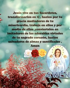 Hoy LUNES 29/12/2025, se Rezan los MISTERIOS de las 7 ALEGRÍAS 🌹 El ROSARIO que se le Reza a la VIRGEN MARÍA, ROSA MÍSTICA, es el de" LÁGRIMAS y SANGRE", conocido también como CORONILLA...Se Llama LÁGRIMAS, por las LÁGRIMAS que derramó MARÍA...Y SANGRE, por la SANGRE que derramó JESÚS 🙏 Les recuerdo que en las ( 3 ) Últimas cuentas donde finaliza la CAMANDULA se debe decir: " ROSA MÍSTICA ruega a JESÚS por Nosotros"🙏 Hermanos y Hermanas, OREMOS por Nuestros SACERDOTES 🙏 BENDICIONES 🙏🇻🇪🇻�