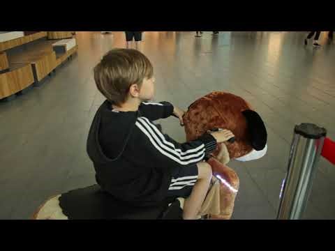 Ride the Fun! 🦄 Kids Enjoy Magical ZoomZoo Animals at the Mall