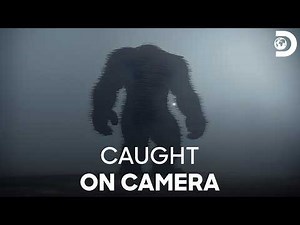Did Bigfoot Really Exist Here? | Expedition Bigfoot S2 | Discovery Channel India