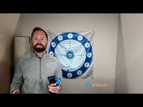 Balance and Vestibular Exercise using MotionGuidance® Visual Feedback System