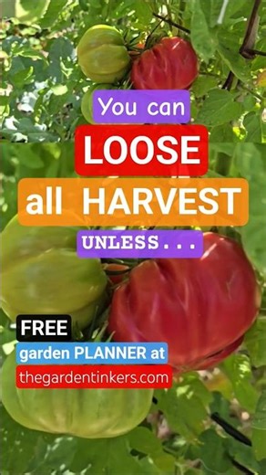 Don't make costly #gardening #mistakes learn #gardeningideas while waiting 4 #spring #gardeningtips