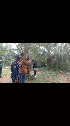 Reconstitution des faits de l'assassinat de la jeune élève infirmière de Mbeli'i par son bourreau 🥺🥺🥺🥺 | Marcelin Eyinga