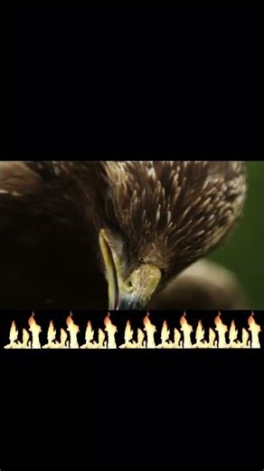 Promise Me | Alexian |