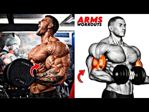8 Best Arm Exercises For Massive Biceps & Triceps Size, Strength & Definition 🔥