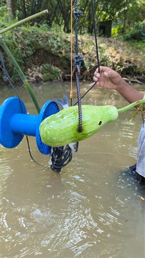 Tempting Fishing Bait, with gourd bait#fishing#fish_traps