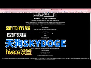熊市坚持挖矿第八期：skydoge设置教程，hiveos配置。会有机会挖到千倍币吗？