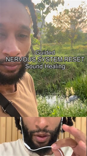 Guided Nervous System Reset. Did this help ?? Tag people who need this today 🫠🩷🌌 guided by @thefallbackup #asmr #soundbath #guided | Thefallbackup