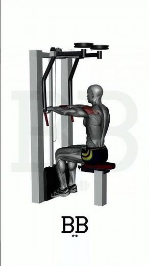 Reverse Machine Fly (BACK): Build a Strong Upper Back! 💪