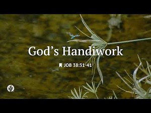 God's Handiwork | Audio Reading | Our Daily Bread Devotional | July 17, 2026