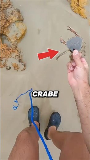 Le secret caché sous ce petit trou dans le sable ! 🤯🚨