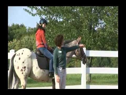 Become a PATH Intl. Certified Professional