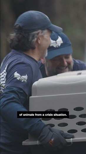 Saving animals in crisis situations