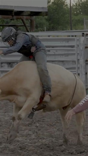 Parents Let Kids Ride Bulls?! The Shocking Reality of Youth Rodeo (clip from the film Peace River)