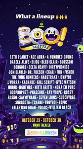 The Funk Hunters on Reels