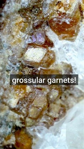 Microscope Crystals Views!
