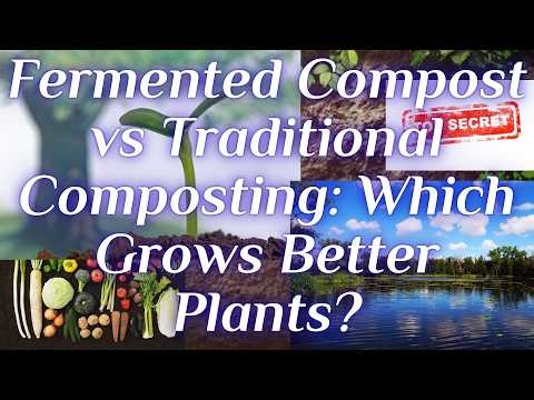 Fermented Compost vs Traditional Composting: Which Grows Better Plants?