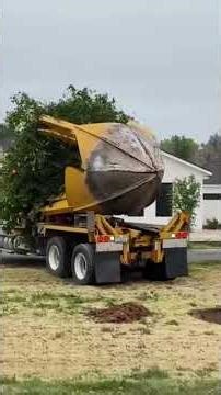 Teknologi Tree Spade: Cara Memindahkan Pohon Besar Tanpa Ditebang #sorotan #shorts #dokumentasi