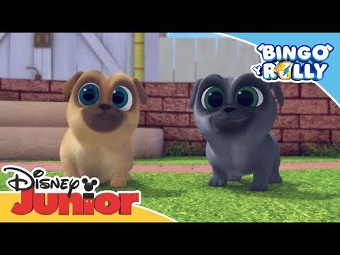 Bingo y Rolly: Momentos Mágicos - ¡Nuevo palo especial! | Disney Junior Oficial