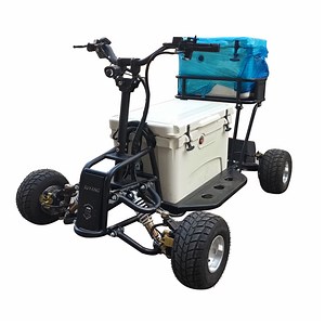[Hot Item] 1000W Electric Scooter 45qt Refrigerate Box 2WD Cooler Scooter