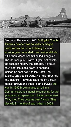 The Enemy Pilot Who Escorted a Damaged American Bomber to Safety | Military History Talks