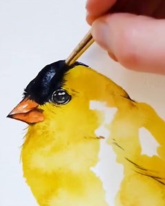 89K views · 2.3K reactions | Bird watercolor paintings 黎 | MetDaan Makeup | Facebook