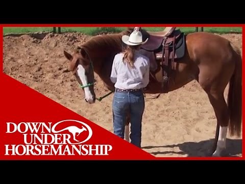Clinton Anderson: More Horse Than Handle, Part 2 - Downunder Horsemanship