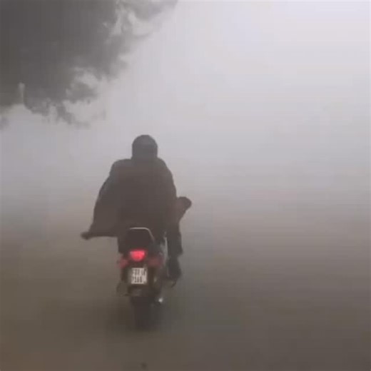 MRA YouTuber on Instagram: "Bach gaye guru🤣"