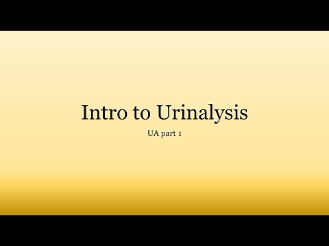 Urinalysis Basics: Intro to Urinalysis