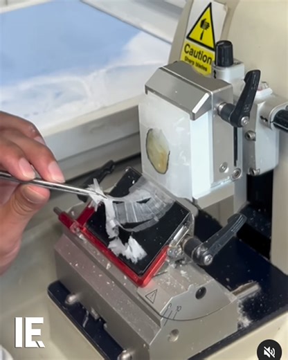 2M views · 3.3K reactions | The automatic cryostat freezes the sample then makes microscope-ready thin slices.  biomedlabtraining / IG | Interesting Engineering | Facebook