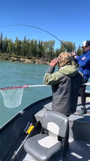 Rainbows so thiccck they break the net! | H&H Fishing Adventures