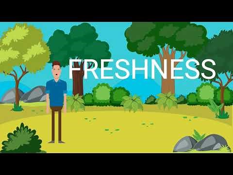 4 fundamentals in brewing a perfect cup of coffee