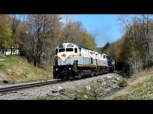 DL - Nathan M5 in the Wild