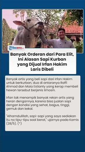Banyak Orderan dari Para Elit, Ini Alasan Sapi Kurban yang Dijual Irfan Hakim Laris Dibeli