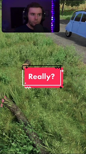 What Do Sheep Eat in Farming Simulator 19?