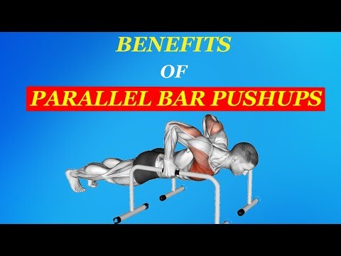 What Would Happens to your body If you do Push-ups using Parallel Bars? || Parallel Bar Push ups ||