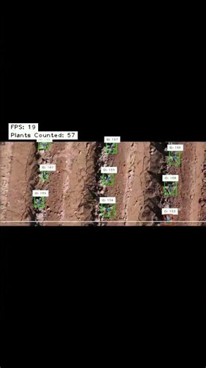 Plant Counting System Using OpenCV and Python