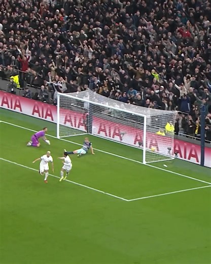 O pombo 🐦🤍 Enjoy every Richarlison goal from the 2023/24 campaign! 🔥 | Tottenham Hotspur
