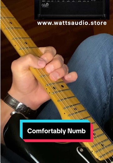 Comfortably Numb Solo - Pink Floyd . “The Dark Amp” is the only plugin I’m using for this tone. Go to wattsaudio.store to check it out . . #pinkfloyd #davidgilmour #pinkfloydsolo #pinkfloydthewall #anotherbrickinthewall