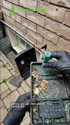 Rat Bait Station Refill!