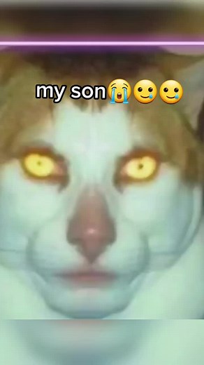 monday left me broken #fyp #fyp #foryou #fy #fypシ #scary #fypシ゚viral #monday #mondayleftmebrokencat #mondayleftmebroken #monday #fypage #voorjou