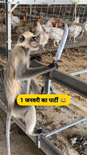 1 जनवरी का शादी #comedy #funny #thetharpuns #shilpisaroja