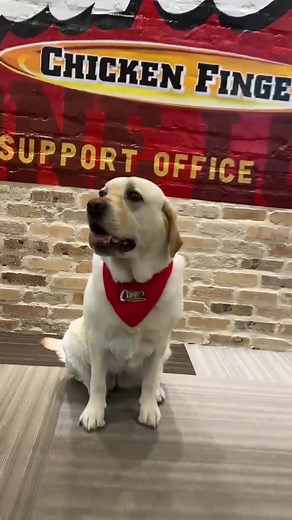Take Your Dog to Work Day with Raising Cane's Mascot