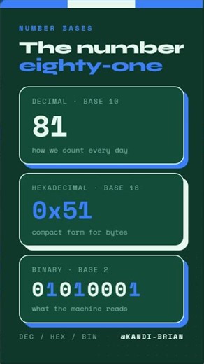 Number Eighty One in Binary, Hexadecimal, and Decimal #binaryconversion