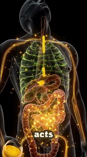 What Happens to Your Body When You Eat Honey Every Day