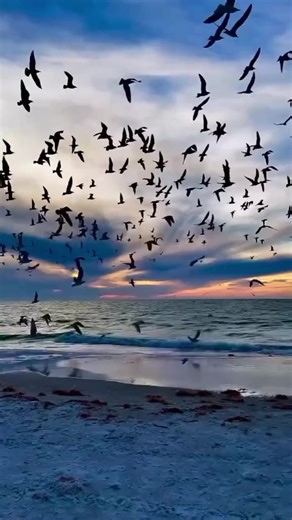 Videos de lelalela🇬🇪🇬🇪🇪🇦🇪🇦 (@lelaxubulava) con “original sound - 90s Classics”