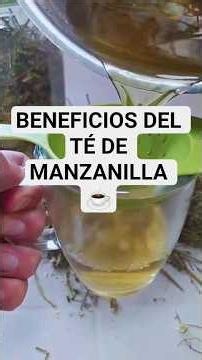 Why You Should Drink Chamomile Tea Every Night #health #sleep #bio #tips