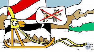 Snow Age Credits: Belgian Taxshelter, VAF, VTM, VTMGo, TV3, co-producers Haptic and Wknd Adult Swim Europe presents Belgium animated series, Elvis & Benny. Best friends who have the most amazing adventures in a post-apocalyptic fantasy world full of crazy creatures. #elvisandbenny​ #iceage​ #cold​ #snow​ #cartoon | Adult Swim UK & Europe